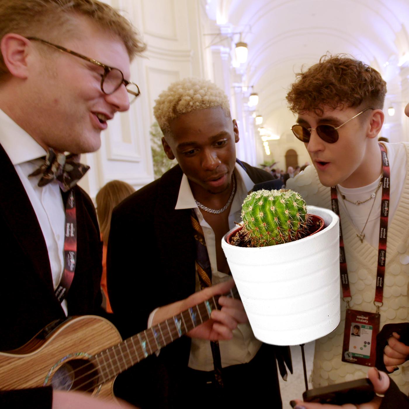 Die ESC-Stars 2022 singen "Mein kleiner grner Kaktus"